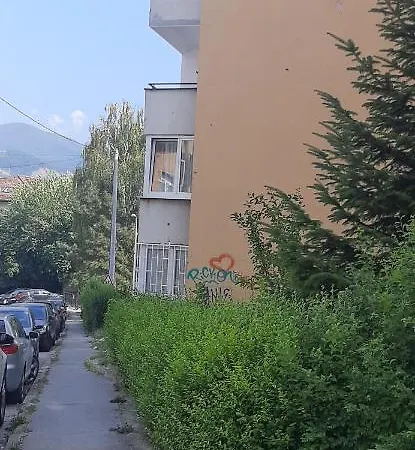 Bili *